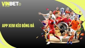 app xem kèo bóng đá