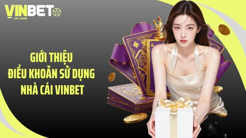 Giới thiệu điều khoản sử dụng nhà cái VINBET