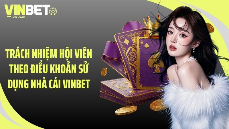 Trách nhiệm hội viên theo điều khoản sử dụng nhà cái VINBET